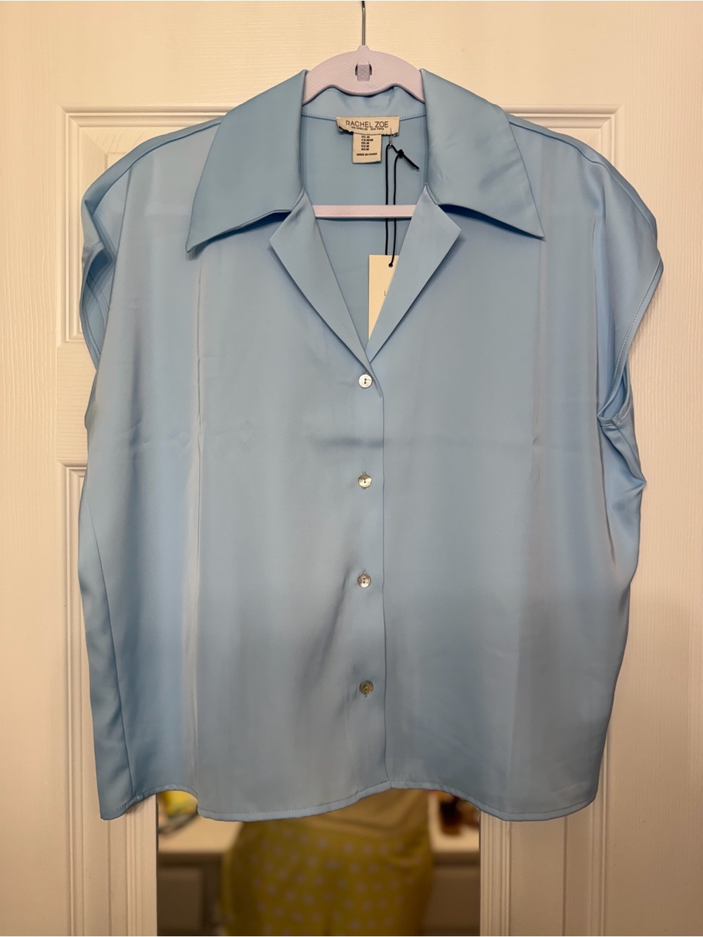 Rachel Zoe Light Blue Sleeveless Button-Front Blouse NWT